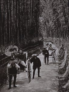 A Bamboo Avenue Kiotóban (f/w fotó) alkotó: Herbert Ponting