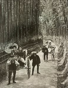 Egy Bamboo Avenue Kiotóban, 1910. alkotó: Herbert Ponting