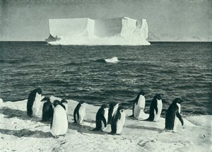 Egy Berg sodródik McMurdo Soundban, c19101913, 1913. alkotó: Herbert Ponting