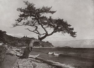 Atami (f/w fotó) alkotó: Herbert Ponting