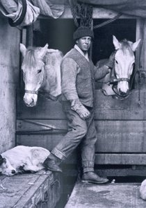 Oates kapitány és két póni a Terra Nován, a 