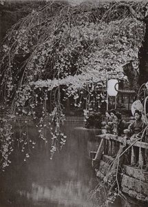 Cseresznyevirágzás ideje Japánban (f/w fotó) alkotó: Herbert Ponting