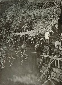 Cseresznyevirágzás ideje Japánban, 1910. alkotó: Herbert Ponting