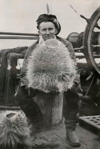 D. G. Lillie, néhány szilíciumtartalmú szivaccsal, c1911, 1913 alkotó: Herbert Ponting