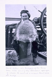 David Lille, a „Terra Nova” biológusa néhány szelídszivaccsal. a 