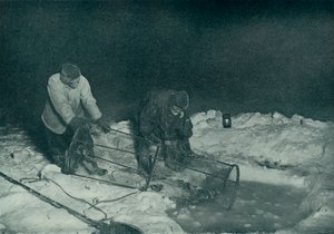 Dr. Atkinson és Clissold felvonva a halcsapdát, 1911. május 28., 1913. alkotó: Herbert Ponting