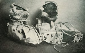 Finnesko görcsökkel, c19101913, 1913 alkotó: Herbert Ponting