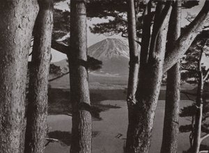 Fuji a fenyőfákon keresztül (f/w fotó) alkotó: Herbert Ponting