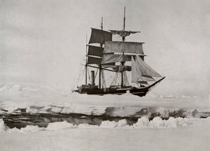 Csomagban – Nyíló ólom, c19101913, 1913 alkotó: Herbert Ponting