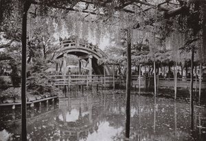 Kameido (f/w fotó) alkotó: Herbert Ponting