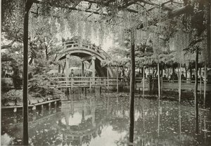Kameido, 1910. alkotó: Herbert Ponting