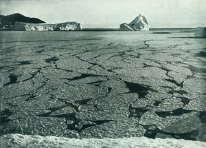 Palacsintajég formálódik pelyhekké Cape Evans mellett, c19101913, 1913. alkotó: Herbert Ponting