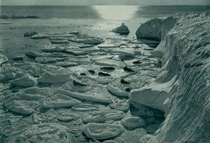 Fókák sütkéreznek az újonnan kialakított palacsintajégen Cape Evans mellett, c19101913, 1913 alkotó: Herbert Ponting
