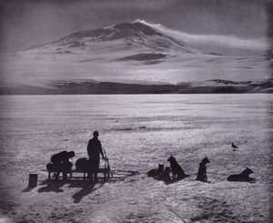 Sledge and dogs, with Mount Erebus in background (b/w photo) alkotó: Herbert Ponting
