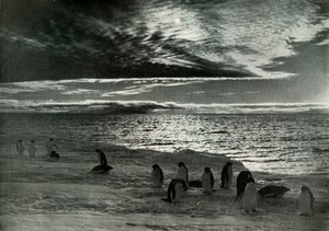 Az éjféli nap McMurdo Soundban, c19101913, 1913 alkotó: Herbert Ponting