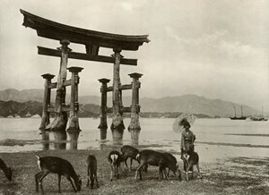 A régi torii Miyajimában, 1910. alkotó: Herbert Ponting