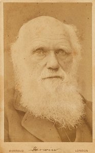 Charles Darwin portréja 1809-1882, 1881.