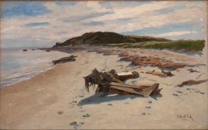 Cape Cod, tengerpart