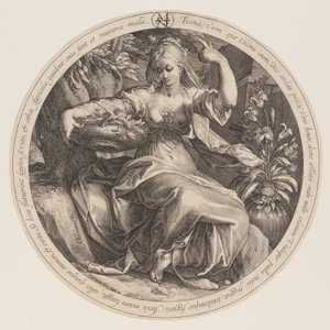 Flora alkotó: Herman Jansz. Muller