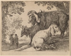 Angora juh alkotó: Herman van Swanevelt