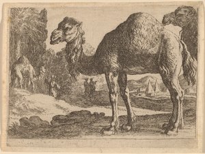 tevék alkotó: Herman van Swanevelt