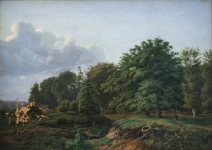 Egy erdő Hellebæk közelében, Zéland északi részén. Délután.