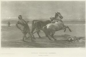 Ulysses őrültséget színlel (mélynyomás)