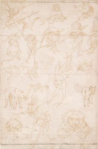 Groteszk tanulmányok, c1500-1520 alkotó: Hieronymus Bosch