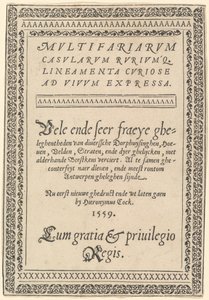 Címlap a "Sokféle nyaralók" címmel alkotó: Hieronymus Cock