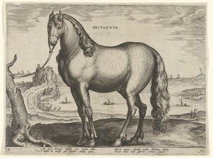 Ló Bretagne-ból (Brittanus) Britannvs (cím az objektumon) Lófajták az osztrák Don Juan királyi istállójából (sorozat címe) Equile Ioannis Austriaci Caroli (sorozat címe) alkotó: Hieronymus Wierix