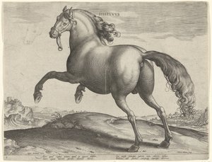 Ló Spanyolországból (Hispanus Alter) Hispanvs (cím az objektumon) Lófajták az osztrák Don Juan királyi istállójából (sorozat címe) Equile Ioannis Austriaci Caroli (sorozat címe) alkotó: Hieronymus Wierix