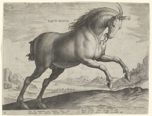 Equus Regius (királyi) fajtájú ló Eqvvs Regivs (cím az objektumon) Lófajták az osztrák Don Juan királyi istállójából (sorozat címe) Equile Ioannis Austriaci Caroli (sorozat címe) alkotó: Hieronymus Wierix