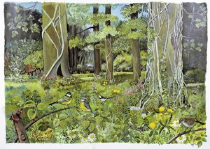 Behind the Squires, Devon (akril papíron)