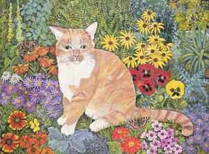 A Carpenters Cat