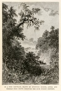 Aouda és Phileas Fogg remek felszerelésben, pompás lovakkal rajzolt, a gazdag erdei tájon autózott át Jules Verne (1828-1905) Henri-Théophile által metszett nyolcvan nap alatt a világ körül című művéből.