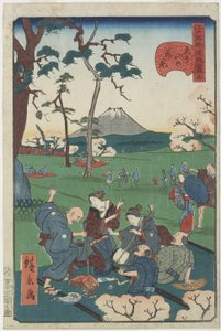 No.5, Cseresznyevirág megtekintése Asuka-hegyen