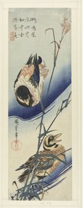 Kacsák nád közelében alkotó: Hiroshige (I) , Utagawa