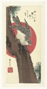 Sólyom a fenyőfán alkotó: Hiroshige (I) , Utagawa