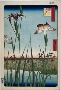 Íriszek Horikiricben Horikiri no hanashobu (cím a tárgyon) Száz híres arc az Edo-n (sorozat címe) Meisho Edo hyakkei (sorozat címe az objektumon) alkotó: Hiroshige (I) , Utagawa
