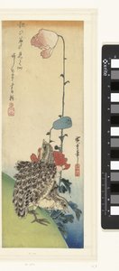 Fürj és mák alkotó: Hiroshige (I) , Utagawa
