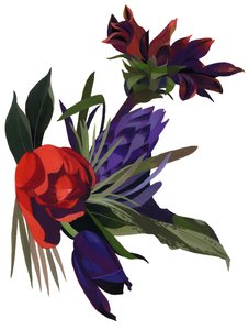 Tulipánok és dáliák.