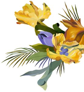 Sárga tulipán