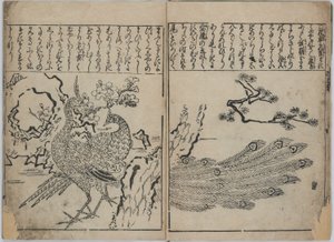 Virágok és madarak gyűjteménye (Kacho zukushi) alkotó: Hishikawa Moronobu