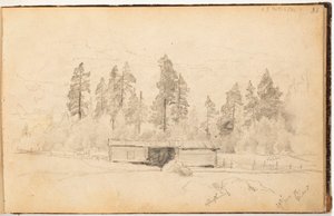 Cím nélkül alkotó: Hjalmar Munsterhjelm