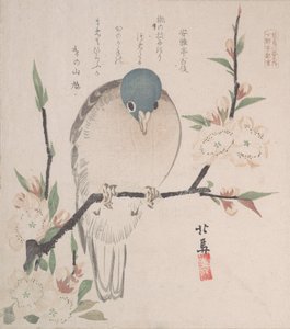 Tavaszi esőkollekció Harusame shu, vol. 3: Hegyi galamb és őszibarack virágok, kb. 1820., kb. 1820.