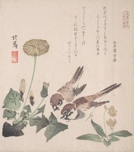Tavaszi esőkollekció Harusame shu, vol. 3: verebek és pitypangok, kb. 1820., kb. 1820.