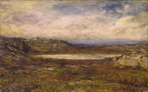 Wild Coast, Newport, kb. 1885-1895.
