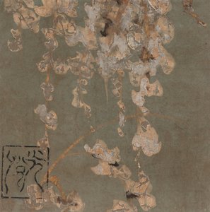 Wisteria virágzás, Edo-korszak, 17. század eleje.