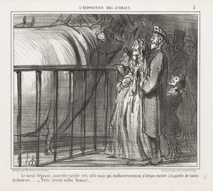Állatok kiállítása: Pl. 5, A tehén-elefánt, új fajta.... alkotó: Honoré Daumier