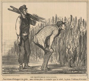 borász aggodalmai alkotó: Honoré Daumier